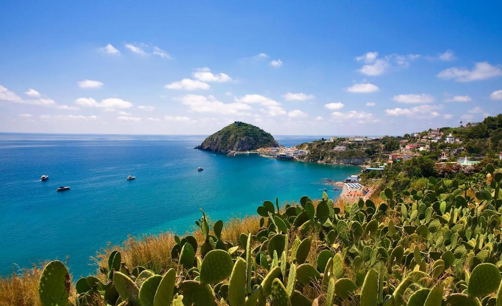 Hotel Vittorio Beach Resort Barano d'Ischia ภายนอก รูปภาพ